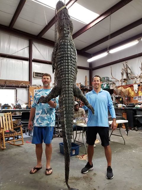 Texas-Alligator-Hunting (9)