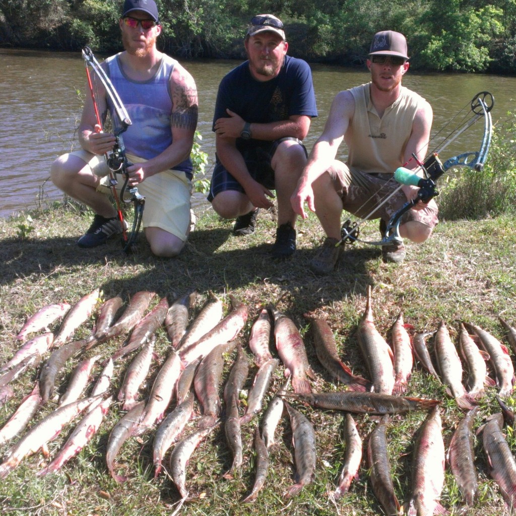 Needle Nose Gar Bowfishing